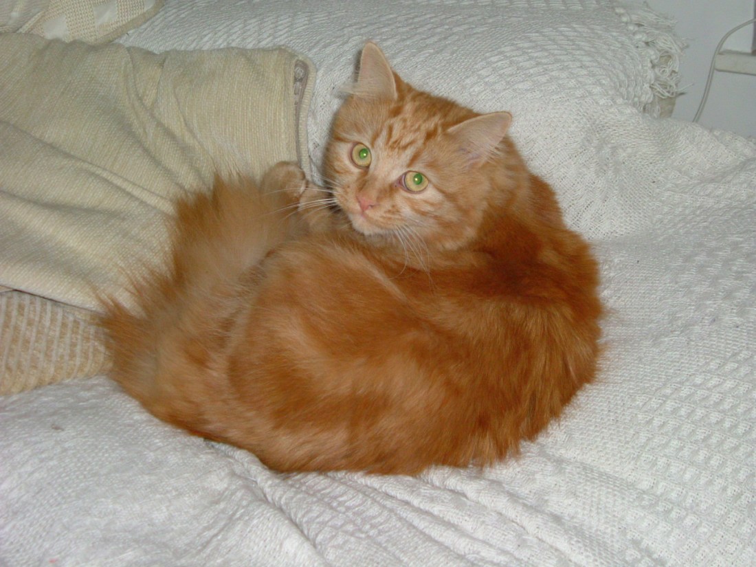 2005_0120emma20050010